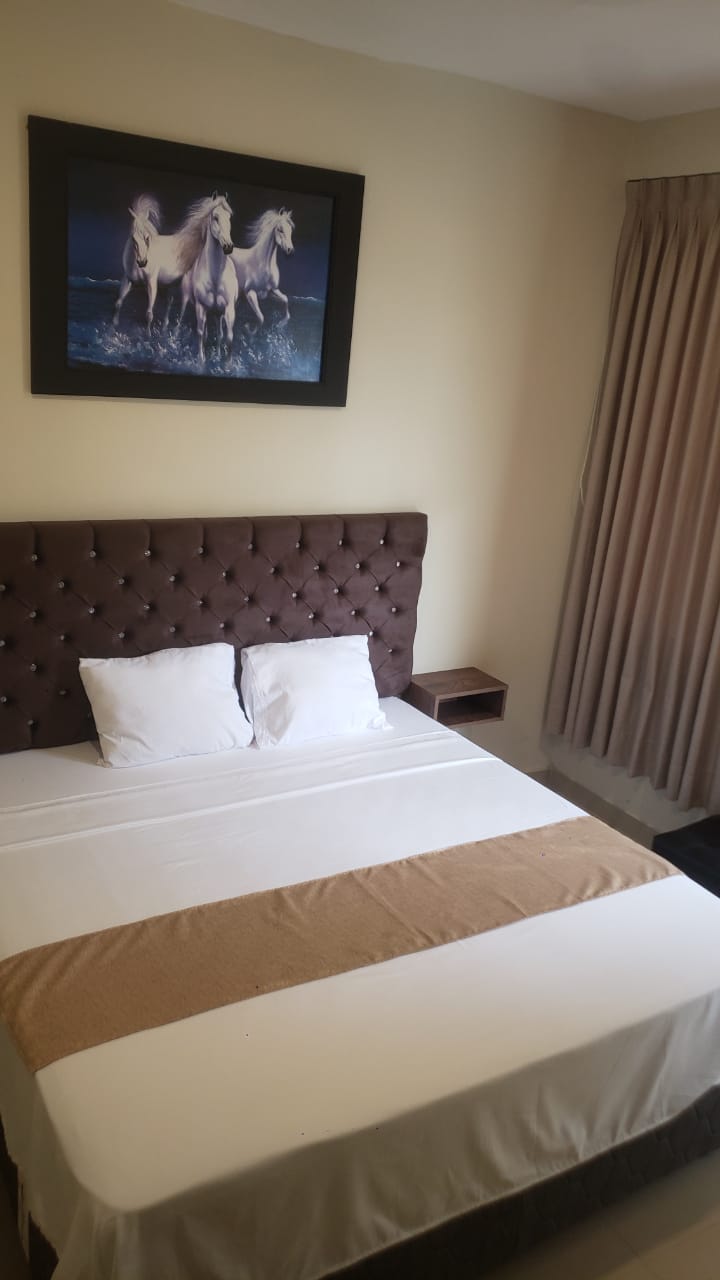 Guaros Hotel imagen 3