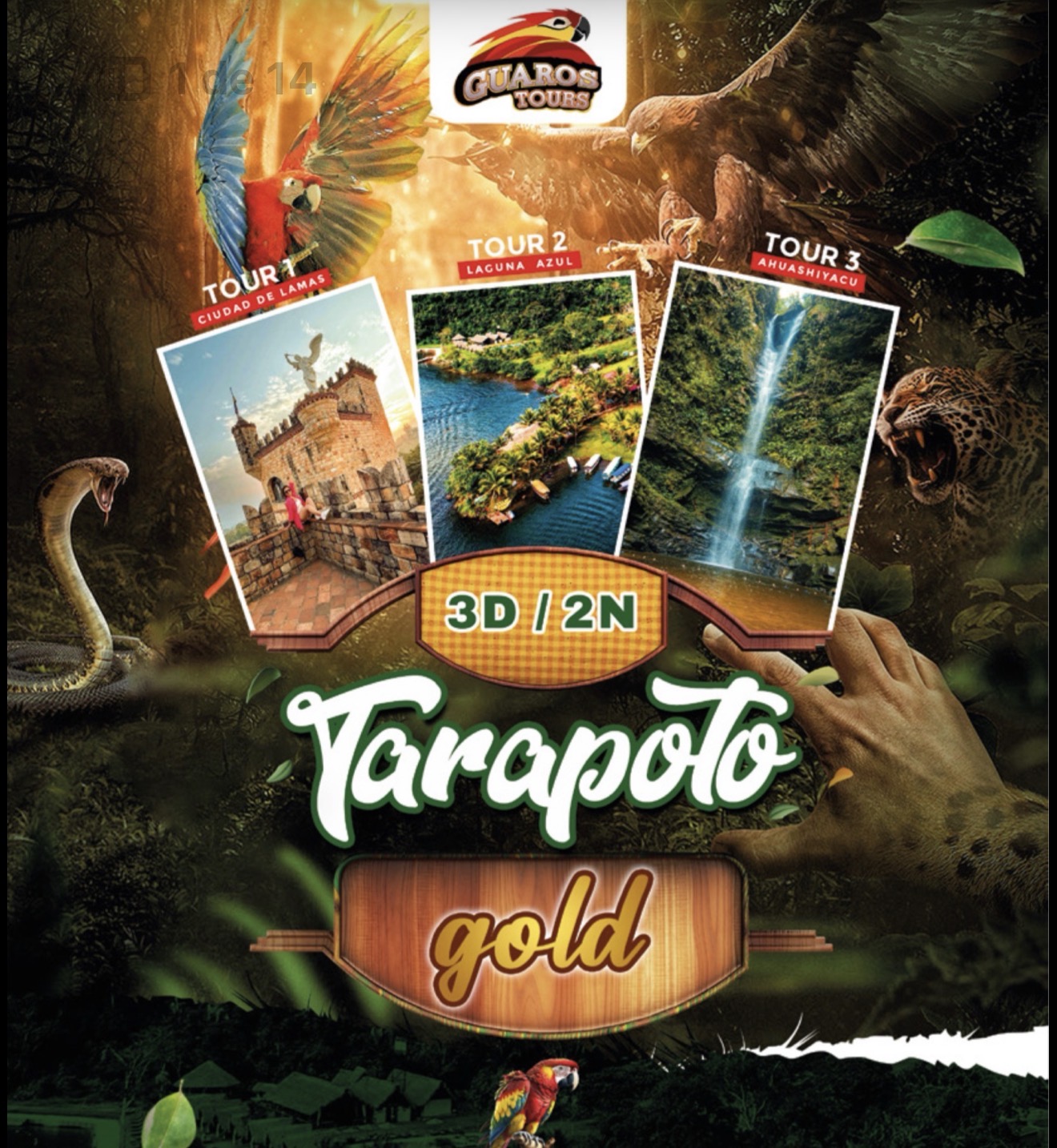 Tarapoto Gold